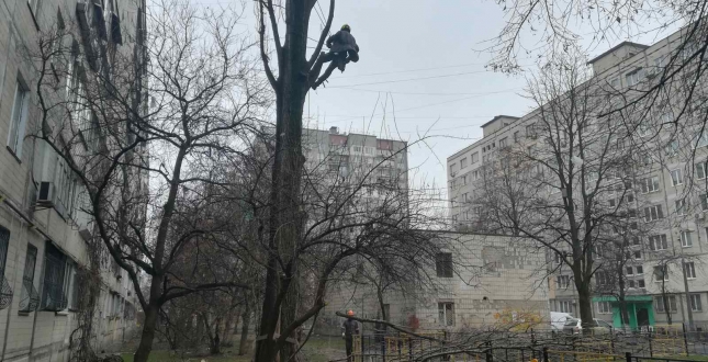 Комунальні служби продовжують виконувати роботи з ремонту та благоустрою балансових територій (фото)
