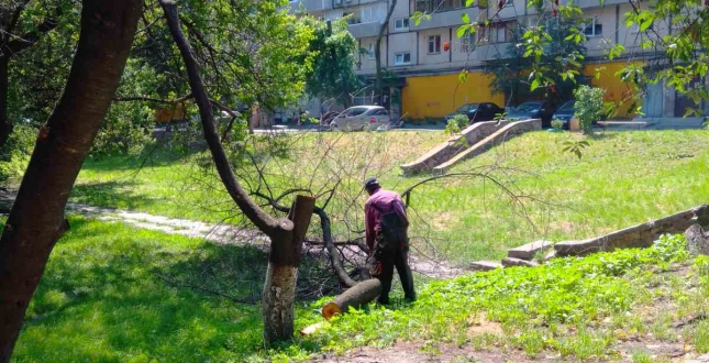 Комунальні служби продовжують виконувати роботи з ремонту та благоустрою балансових територій (фото)