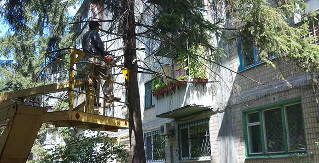Комунальні служби продовжують виконувати роботи з ремонту та благоустрою балансових територій (фото)
