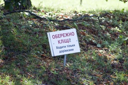 У кожному районі Києва цілодобово працюють травмпункти, де нададуть допомогу при укусі кліщів (+ перелік)