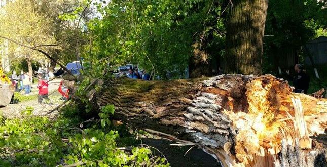 Через ураган на Подолі сталося падіння дерева на авто