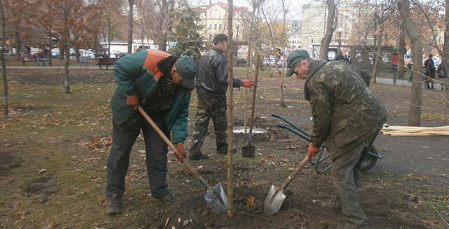 Фахівці КО «Київзеленбуд» Подільського району посадили дерева на Контрактовій площі (фото)