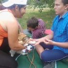 18396