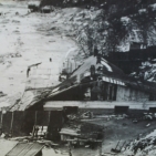1868