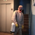43231