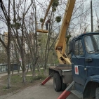 49847