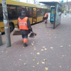 67164