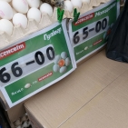 67943