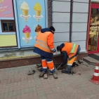 69191
