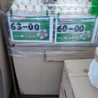 69499