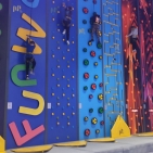 71954