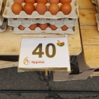 72254