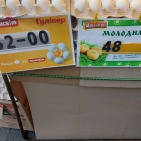 72776