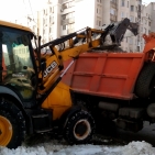 7319