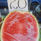 75259