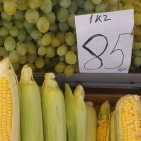 75262